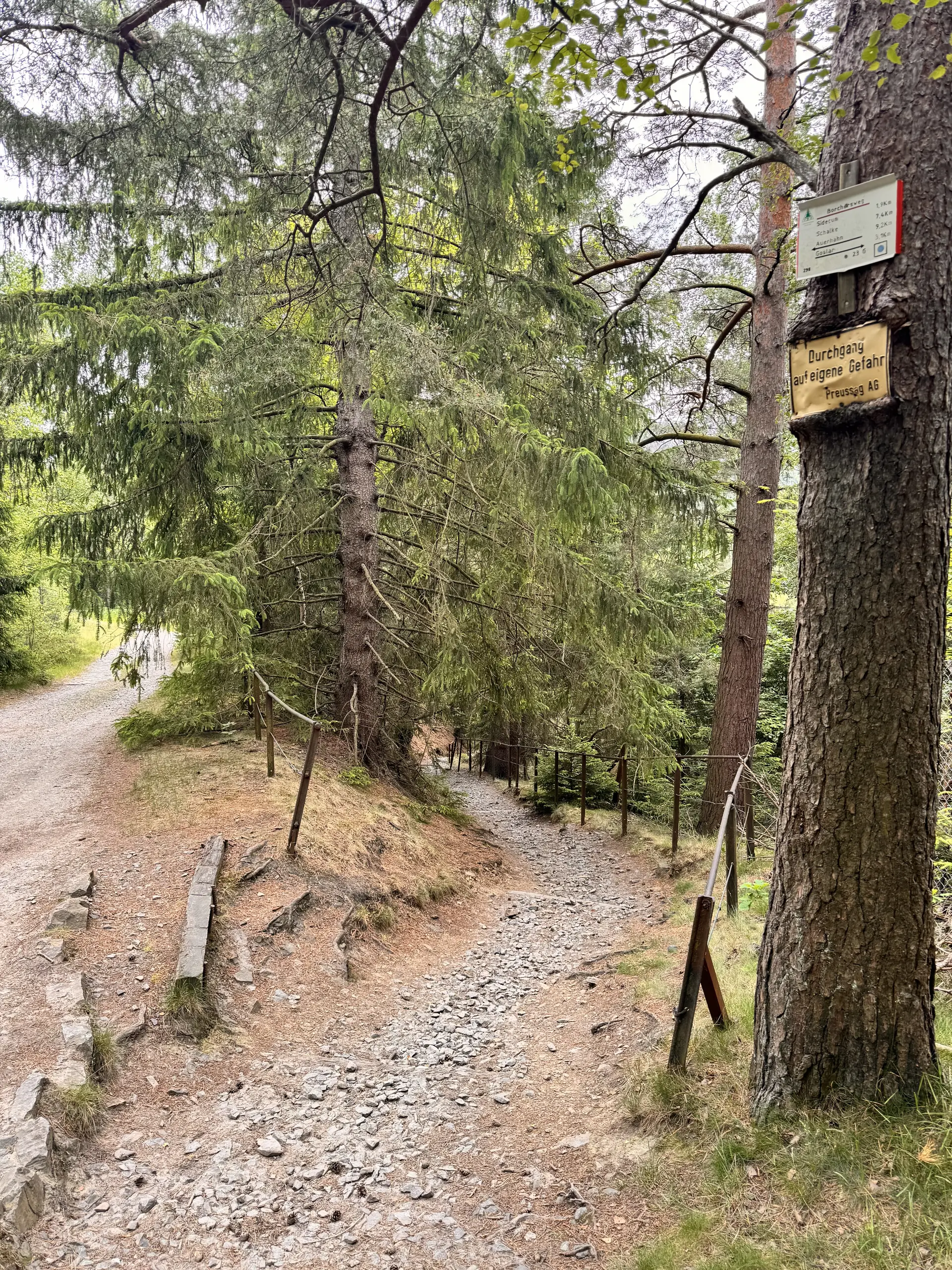 Der schwarze Gunther – neues Outdoor-Abenteuer